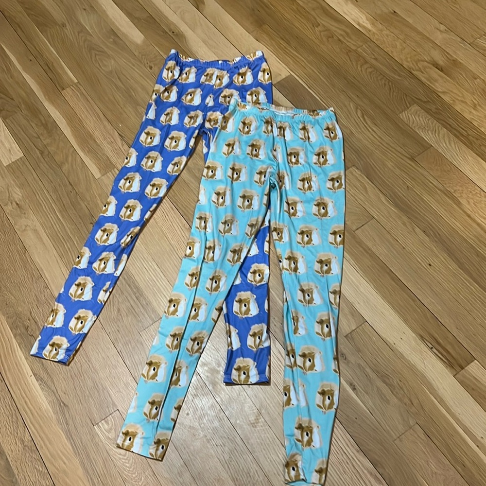 Guinea pig leggings